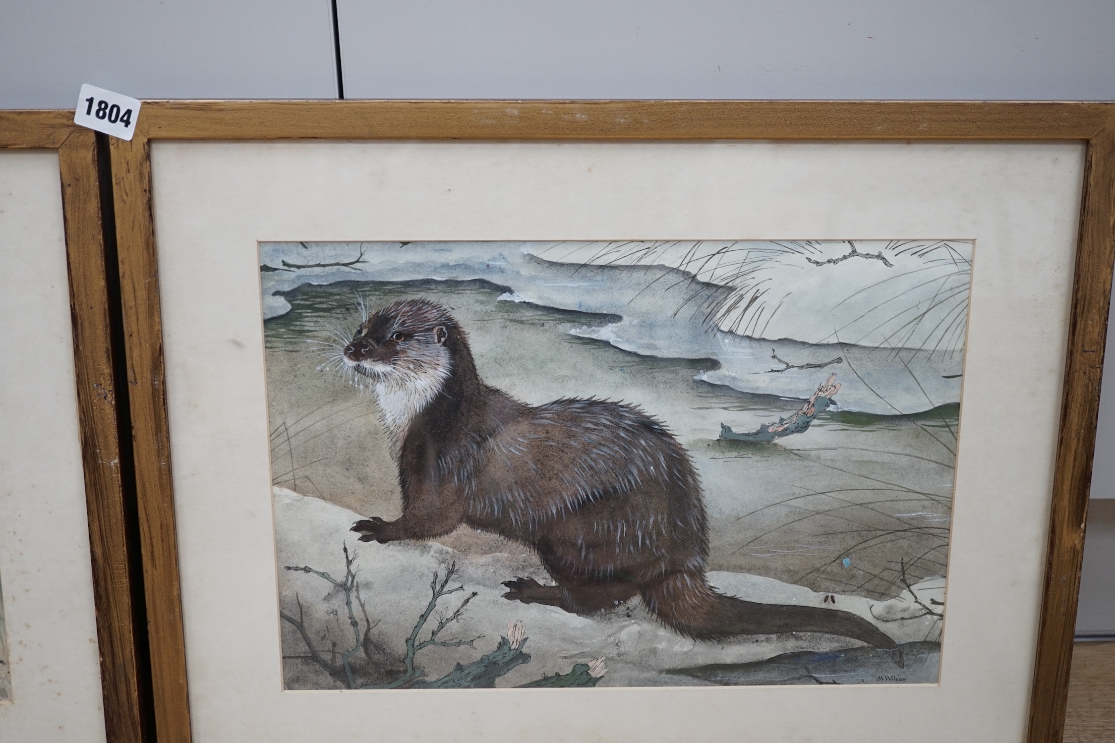 Maurice Wilson (1914-1987), set of four watercolours, Wildlife including badgers and stoats, each signed, 26 x 38cm. Condition - fair to good